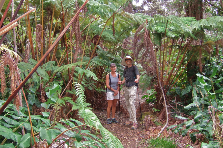 Laura and Bill in a glade of Hapu'u