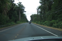 Driving up HI11 from Hilo to Volcanoes, somewhere near Glenwood.