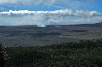 Our first view from the trail of the Hamela'uma'u Crater in Kilauea