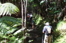 Laura and David climb out of Kilauea Iki.