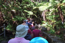 The queue to see the Thurston Lava Tube