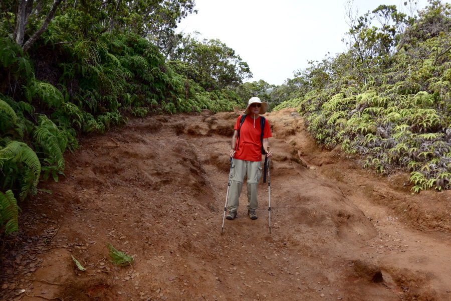 Pihea Trail descends steeply for a short stretch.