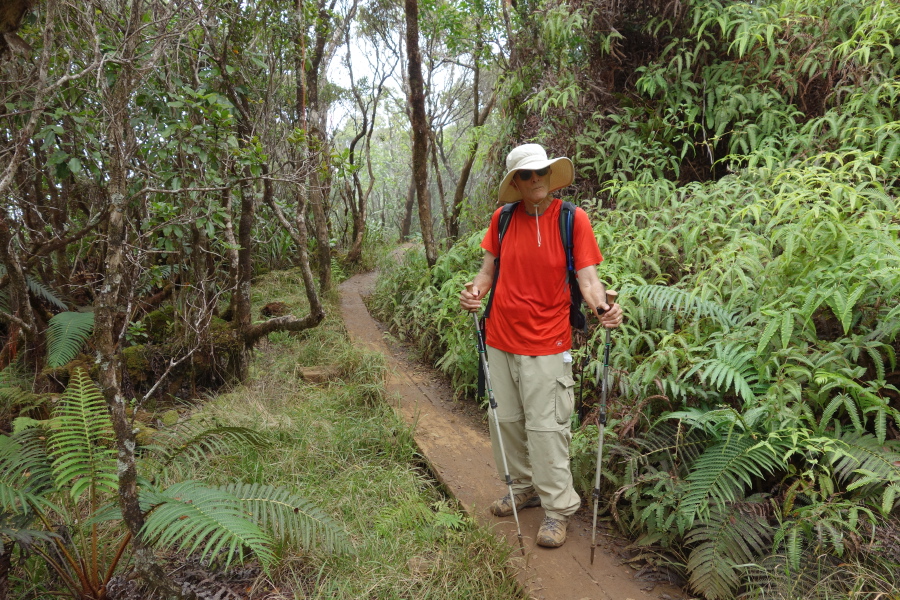 Some sections of the trail were boardwalk.