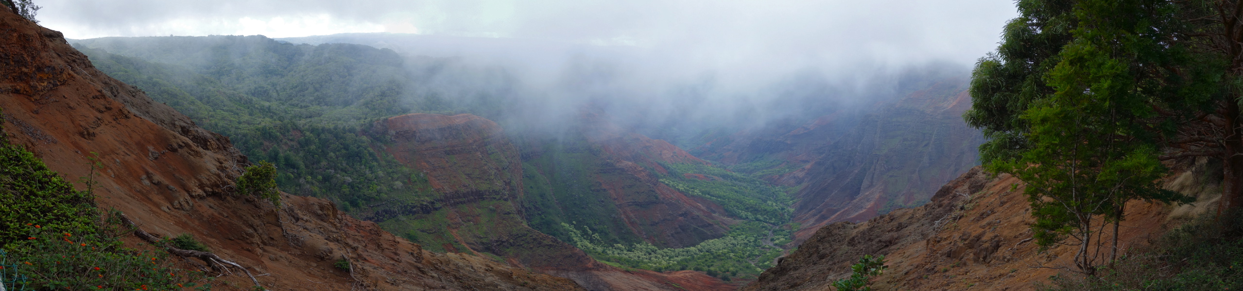 Waimea Canyon from Pu'u Hinahina Lookout (3600+ ft)