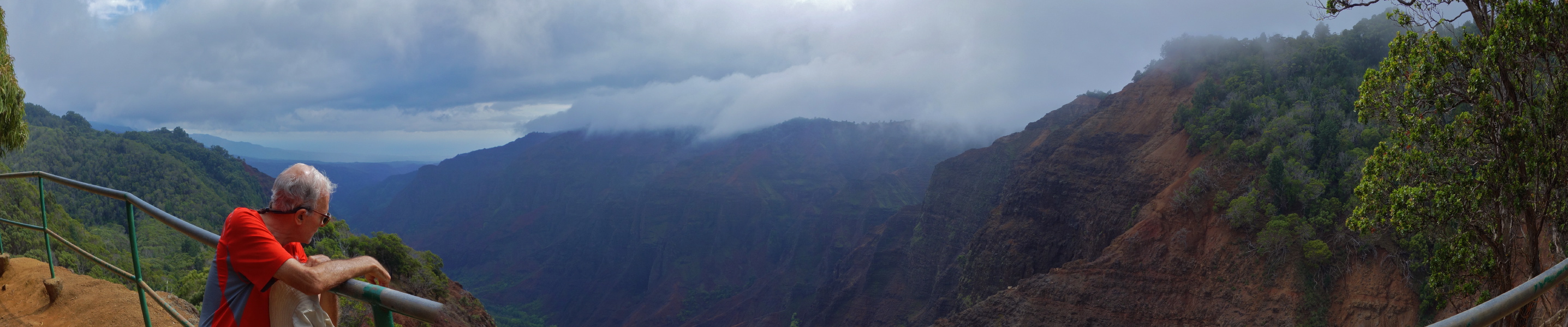 David gazes down into Waimea Canyon from the Observation Point (3450ft) across from Pu'u Hinahina Lookout.