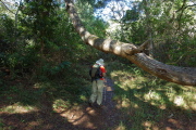 David starts out on the Honopu Ridge Trail.