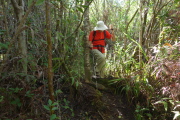The rough trail is muddy in places and requires stepping over roots.