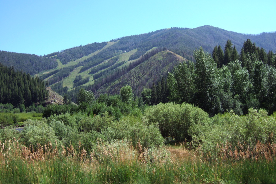 Bald Mountain from the Warm Springs side.