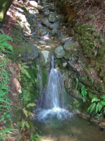 Waterfall on Los Trancos Creek