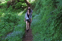 Pauline leads the way through the blooming houndstongue (Cynoglossum grande)
