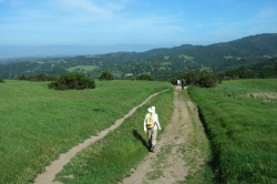 David, Pauline, and Bogdan descend Spring Ridge Trail.
