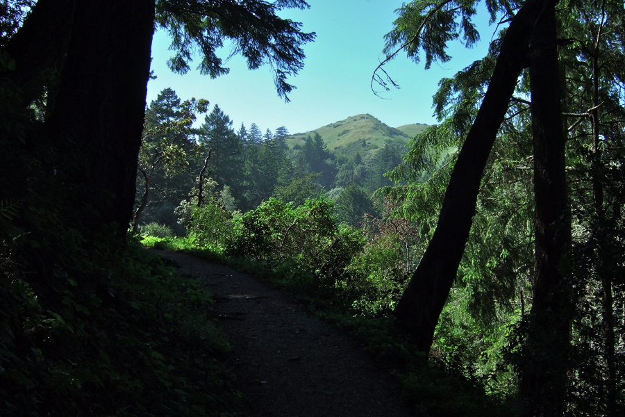 Windy hill could be glimpsed from time to time from the trail.