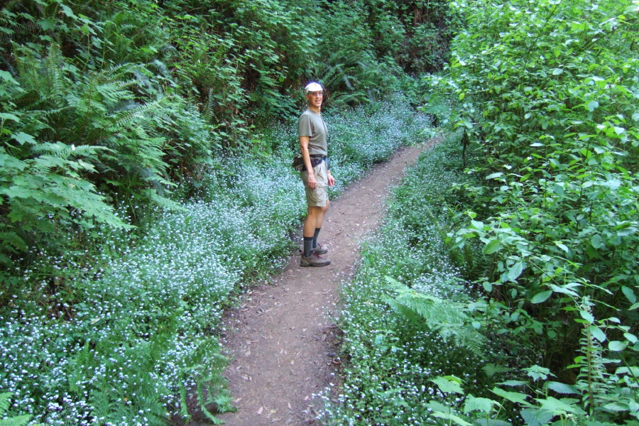 Hounds tongue lined the trail in many places.