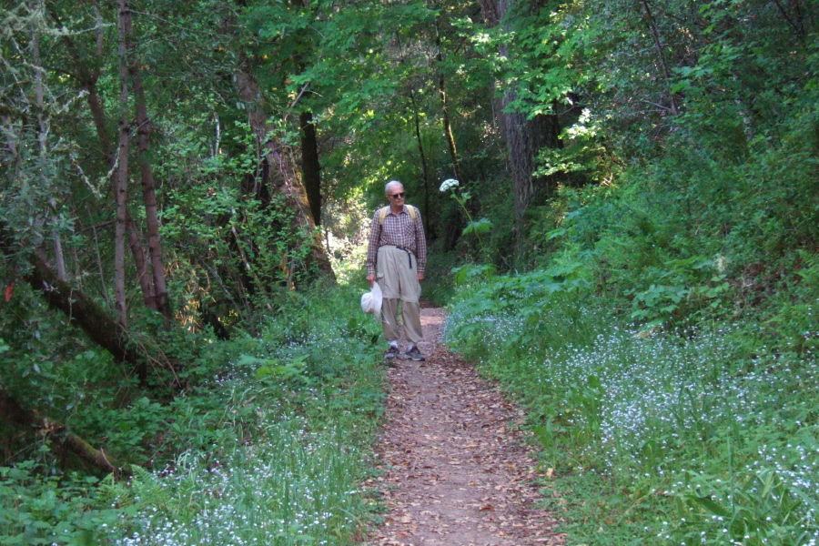 David models Angelica tomentoso on the Lost Trail