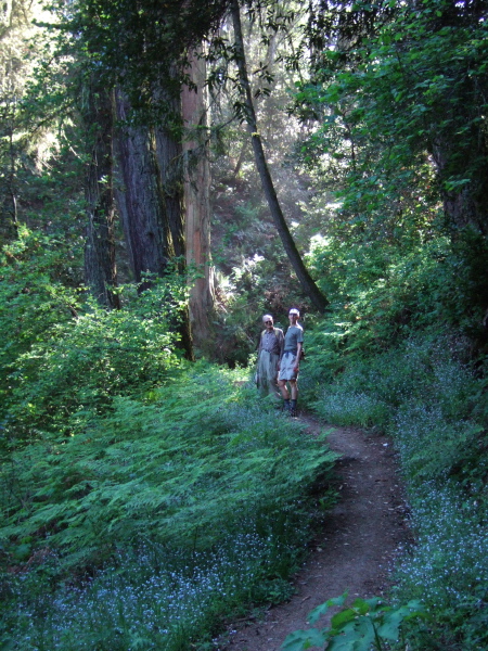 David and Steve stop on a particularly pretty section of the Lost Trail.