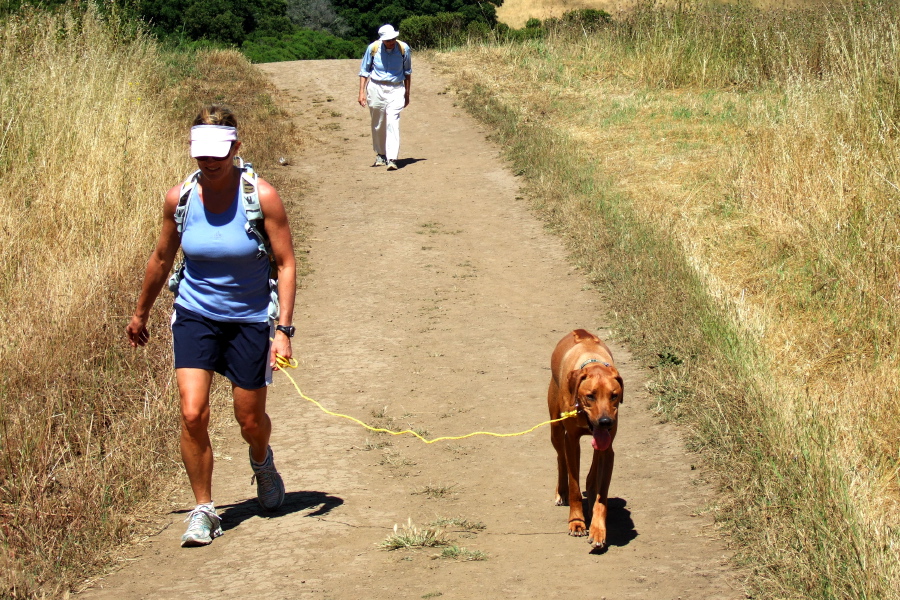 Laura, David, and Kumba on the trail.