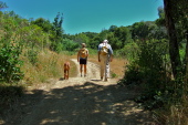 Kumba, Laura, and David hike up the trail.