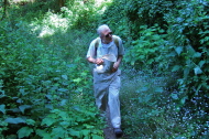 David pushes through the overgrown section of the Lost Trail.