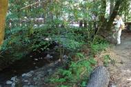 Eagle Trail at the stone bridge over Corte Madera Creek