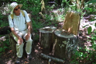 Two chairs and table cut from a fallen tree, seen on Eagle Trail