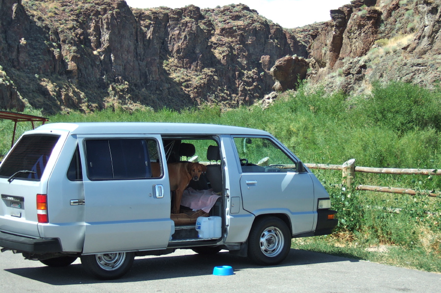 Kumba waits in the van while I use the rest room.