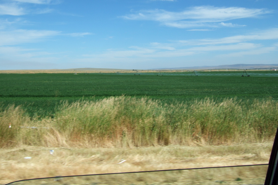 ...and irrigated fields on the other.