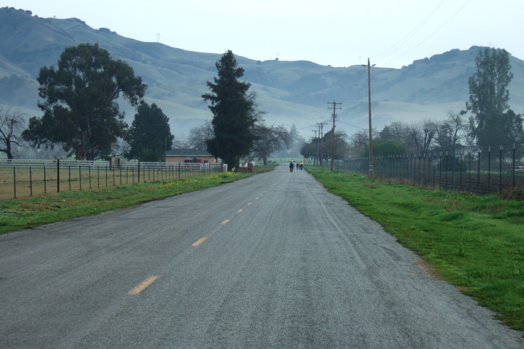 Approaching the rear of a group of cyclists on Santa Ana Valley Rd.