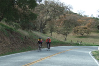 Riders descending into Bear Valley.