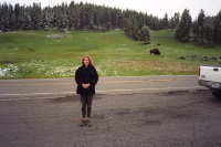 Kay and the Buffalo in Hayden Valley.