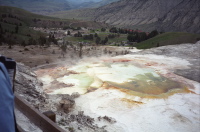 Mammoth Hot Springs and view into the town