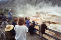 Mammoth Hot Springs--taking in the spectacle