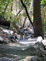 David on the dusty, (mule) shit-strewn trail to Mirror Lake.