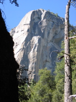 Watching climbers on Washington Column.