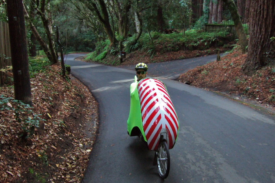 Climbing Old La Honda Road