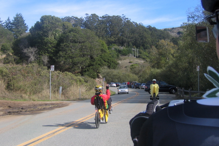 Bill leads the group into Muir Woods.