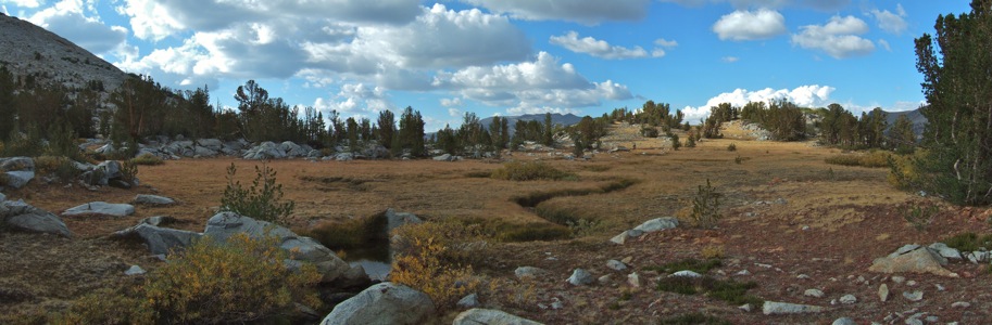 Alpine Meadow below Mammoth Peak - 9/2012