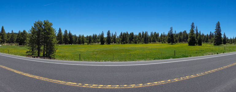 Bear Valley - 5/2014