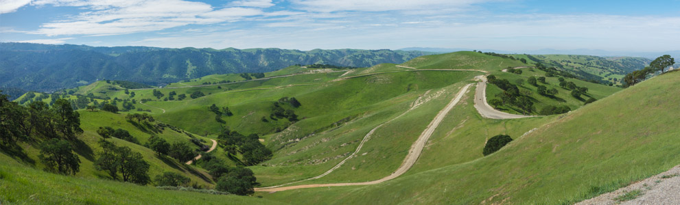 Mendenhall Road 2 - 3/2015