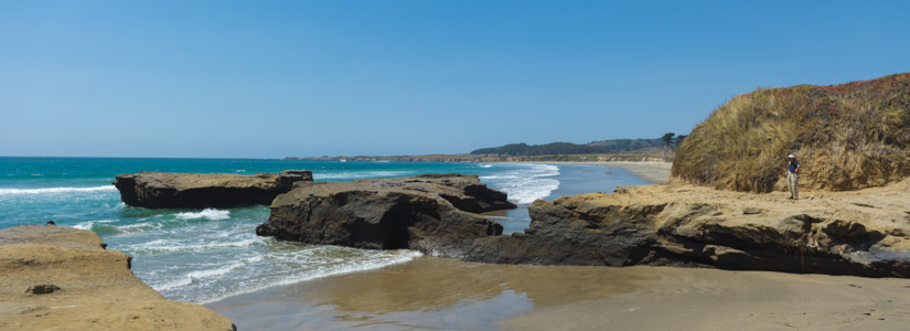 Table Rock at Ano Nuevo - 8/2015