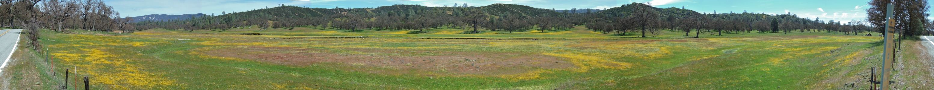 Upper San Antonio Valley - 4/2011