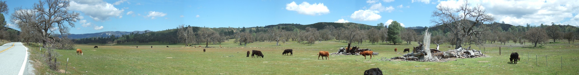 Upper San Antonio Valley - 4/2012