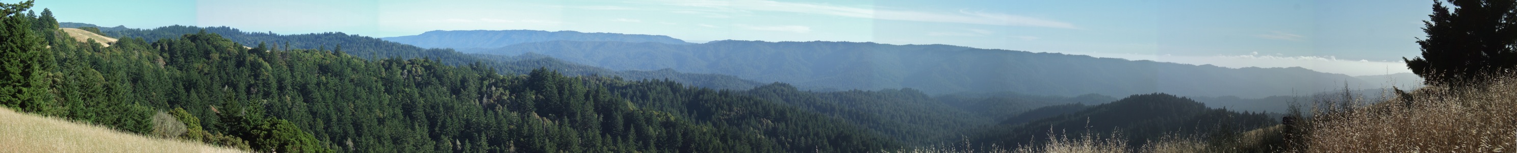 View south from Long Ridge - 6/2012