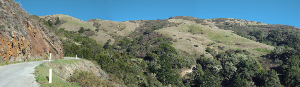 Windy Hill Backside - 3/2012